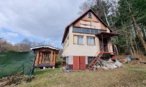IMG-20240313-WA0011