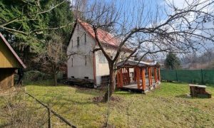 IMG-20240313-WA0015