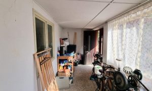 IMG-20240313-WA0018