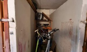 IMG-20240523-WA0019