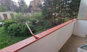 IMG-20240523-WA0024