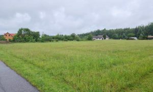 IMG-20240525-WA0032