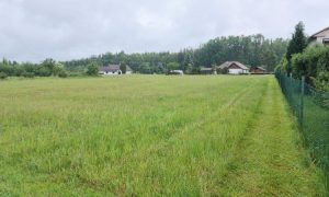 IMG-20240525-WA0034