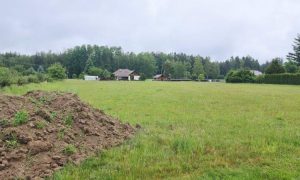 IMG-20240525-WA0035