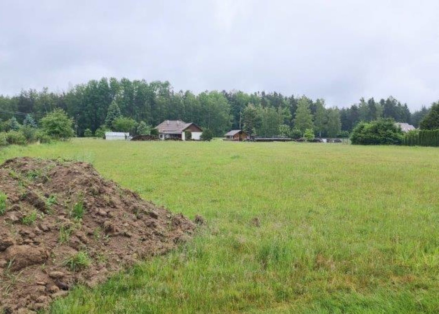 IMG-20240525-WA0035