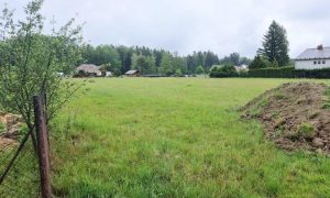 IMG-20240525-WA0038