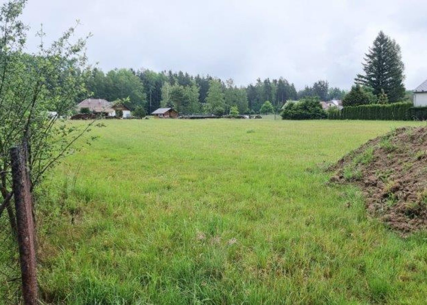 IMG-20240525-WA0038