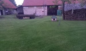 IMG-20240608-WA0010 - kopie