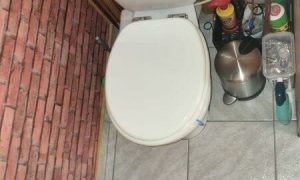 IMG-20240622-WA0011