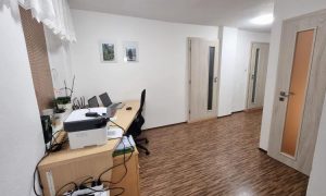 IMG-20241030-WA0004