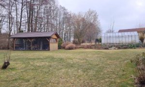 IMG-20250324-WA0021