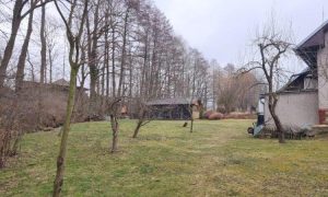 IMG-20250324-WA0022