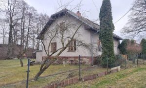 IMG-20250324-WA0028