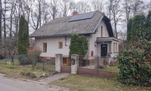 IMG-20250324-WA0029
