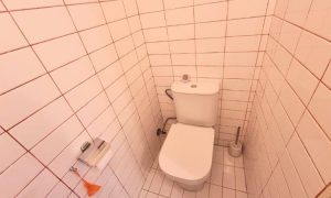 IMG-20250326-WA0053