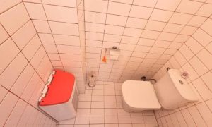 IMG-20250326-WA0055