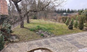 IMG-20250326-WA0067