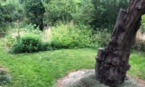 IMG_0067
