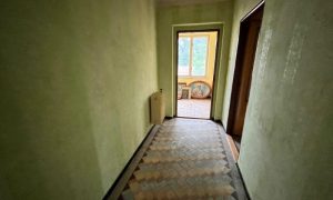 IMG_1877
