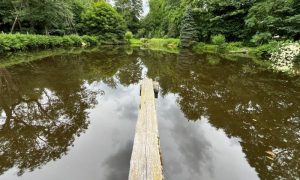 IMG_1968 (2)