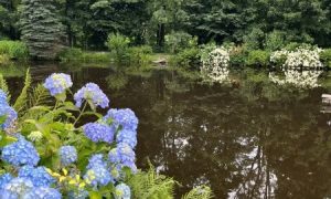 IMG_1972 (2)