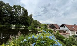 IMG_1980 (2)