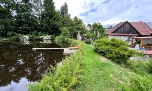 IMG_1985 (2)