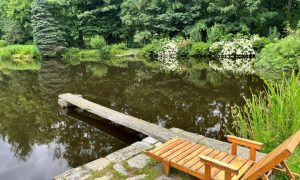 IMG_1988 (2)