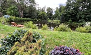 IMG_1993 (2)