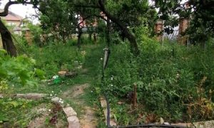 IMG_20230722_114508 (2)