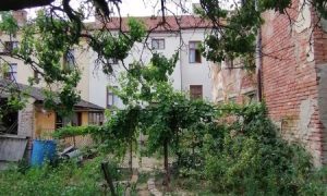IMG_20230722_114526 (2)