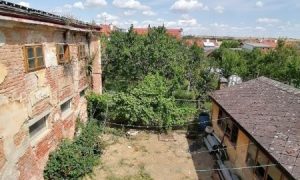 IMG_20230722_115122 (2)