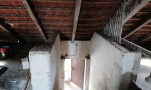 IMG_20230722_141549 (2)