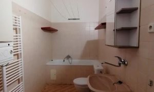 IMG_20230905_164028 (2)