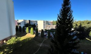 IMG_3580