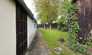 IMG_9936