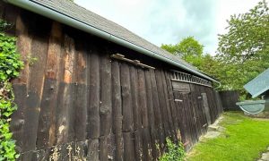 IMG_9937