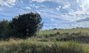 PXL_20250625_160006340