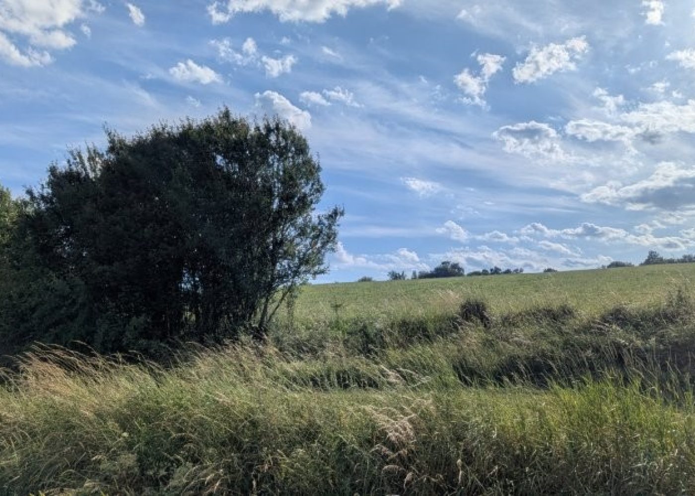 PXL_20250625_160006340