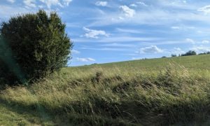 PXL_20250625_160055072