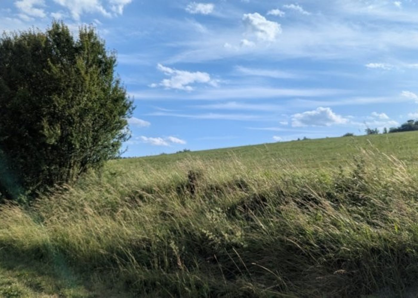 PXL_20250625_160055072