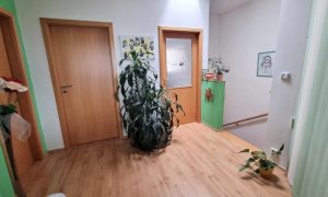 image (11)