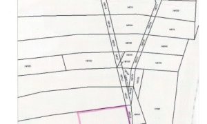 scan_01072025_021730