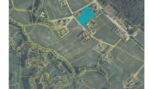 scan_12012024_018432